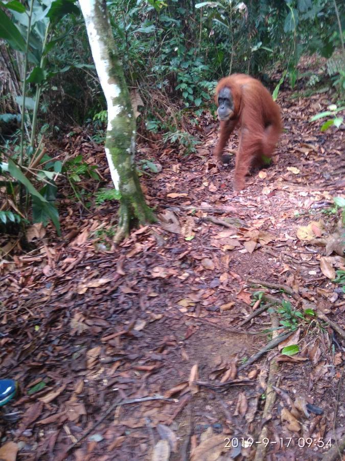 Homestay Grandma Including Jungle Trek